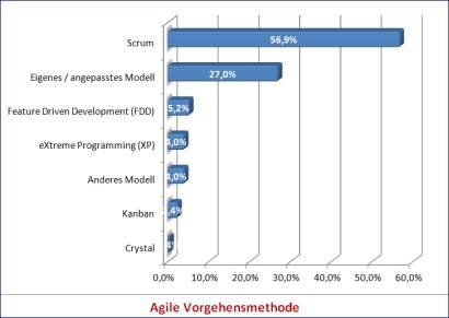 softwaretest 2 klein