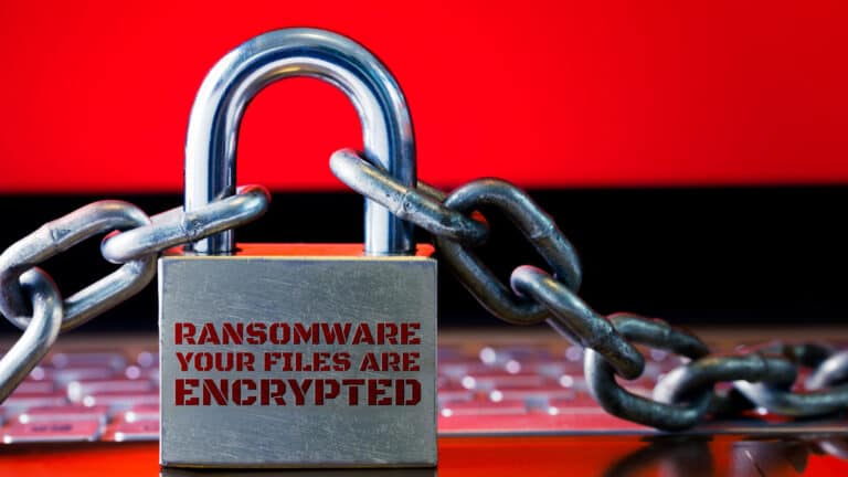 Lösegeld, Ransomware, Ransomware-Umsatz