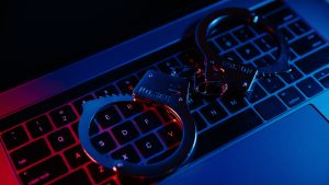 Cyber Crime, Operation Endgame, Hacker