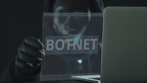 Botnet, Botnetz, Zyxel