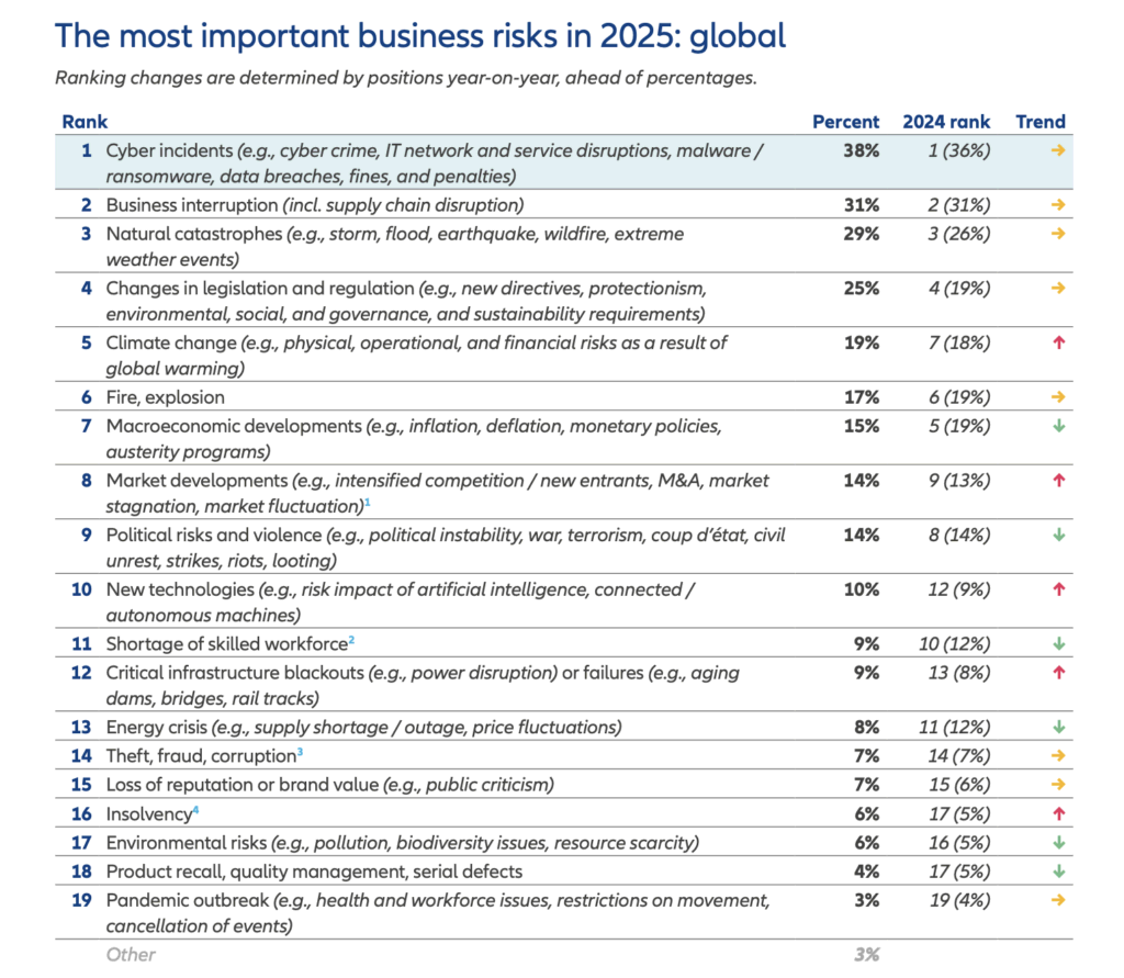 The most important business risks in 2025: global